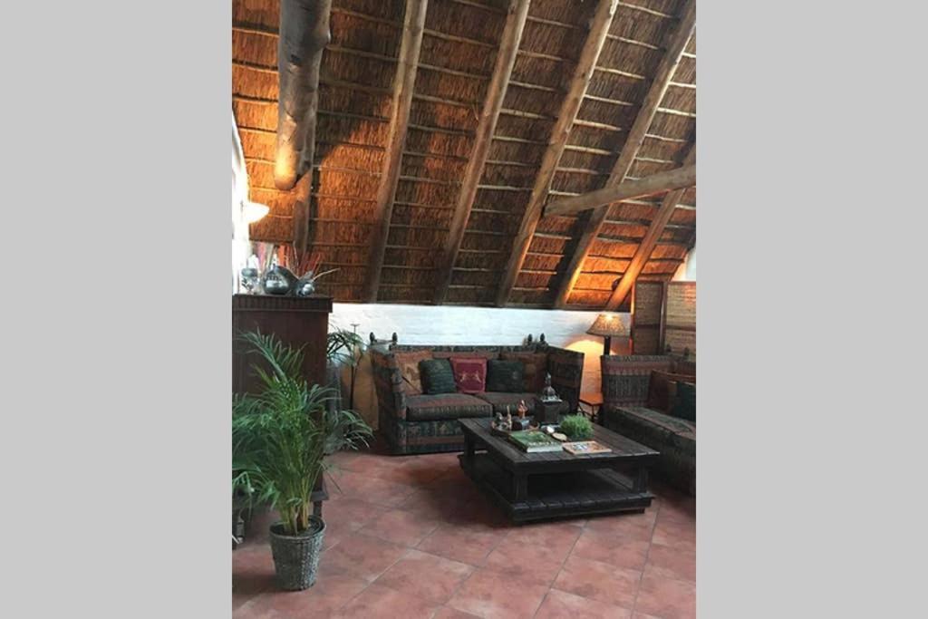 Pantera Lodge & Cheetah Cottage Johannesburg Exteriér fotografie