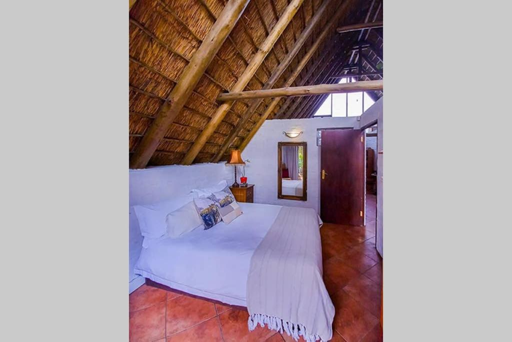 Pantera Lodge & Cheetah Cottage Johannesburg Exteriér fotografie