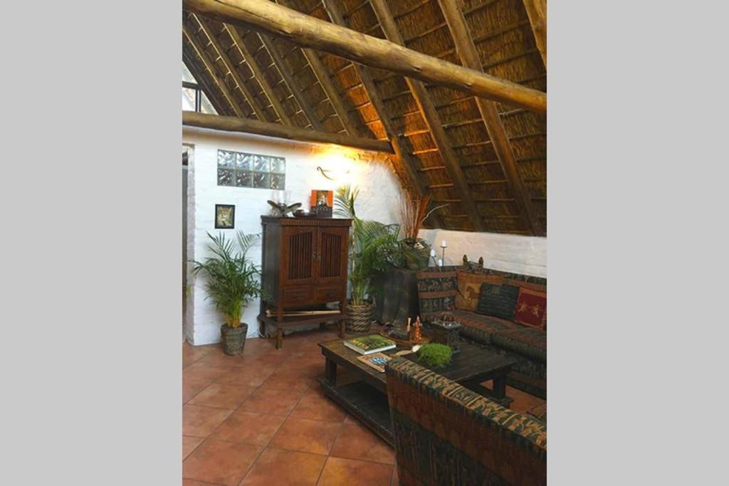 Pantera Lodge & Cheetah Cottage Johannesburg Exteriér fotografie