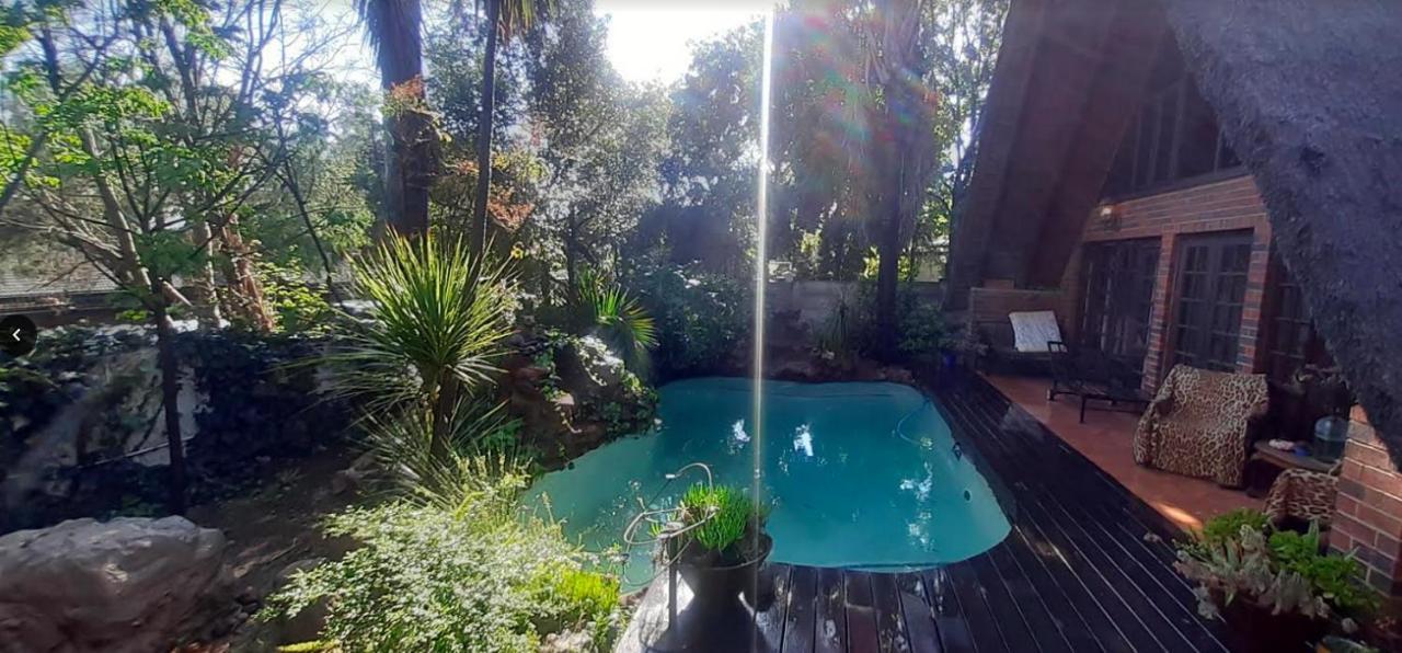 Pantera Lodge & Cheetah Cottage Johannesburg Exteriér fotografie